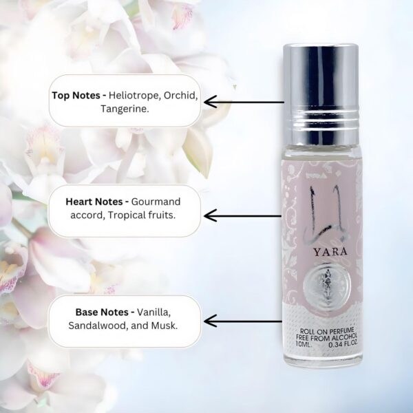 ⁦Yara Roll On Perfume Oil for Women, Alcohol-Free, Long-Lasting Fragrance, 10 ml - Women’s Perfume, Ideal for Travel and Gifts, Perfume For Women (pack of 1)⁩ - الصورة ⁦4⁩